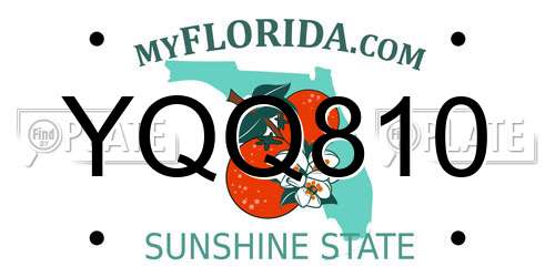 YQQ810 Florida License Plate