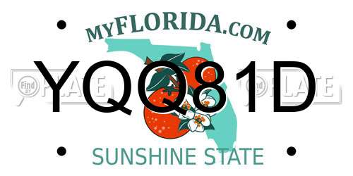 YQQ81D Florida License Plate