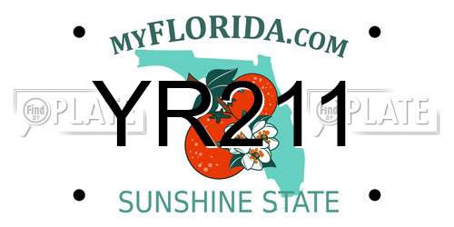 YR211 Florida License Plate
