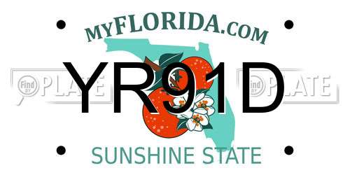 YR91D Florida License Plate