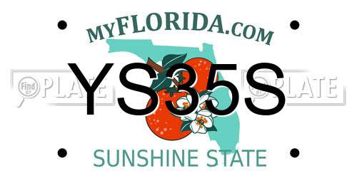 YS35S Florida License Plate