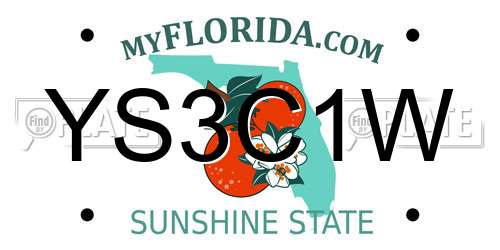 YS3C1W Florida License Plate