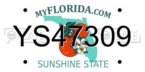YS47309 Florida License Plate