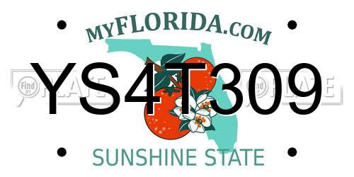 YS4T309 Florida License Plate