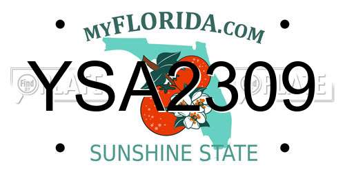 YSA2309 Florida License Plate