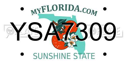 YSA7309 Florida License Plate