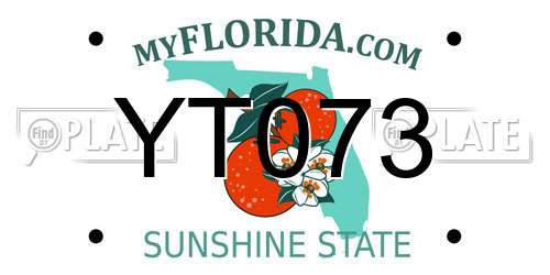 YT073 Florida License Plate
