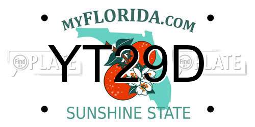 YT29D Florida License Plate