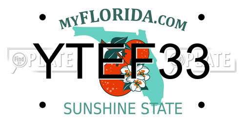 YTEF33 Florida License Plate