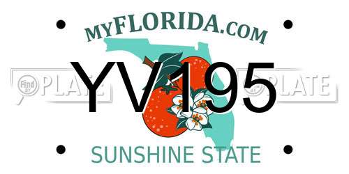 YV195 Florida License Plate