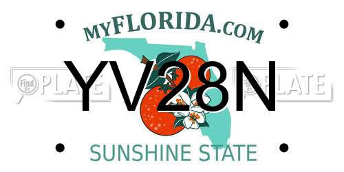 YV28N Florida License Plate