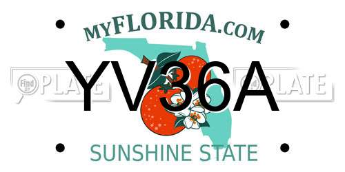 YV36A Florida License Plate
