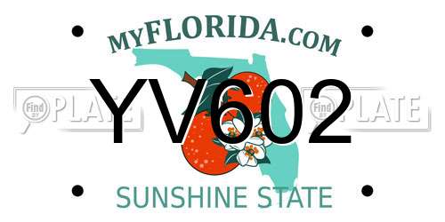 YV602 Florida License Plate
