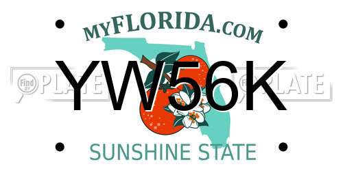 YW56K Florida License Plate