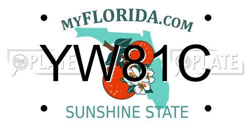 YW81C Florida License Plate
