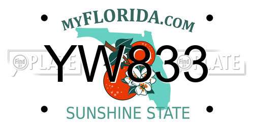 YW833 Florida License Plate