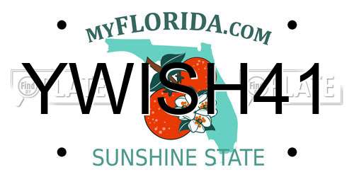 YWISH41 Florida License Plate