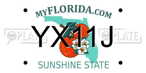 YX11J Florida License Plate