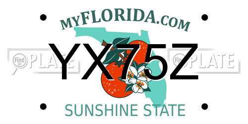 YX75Z Florida License Plate