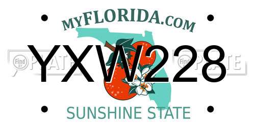 YXW228 Florida License Plate