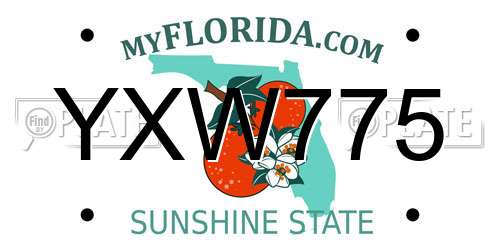 YXW775 Florida License Plate
