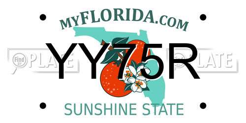 YY75R Florida License Plate