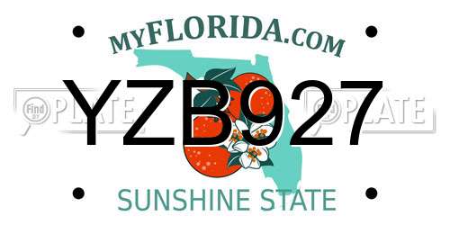 YZB927 Florida License Plate