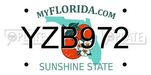 YZB972 Florida License Plate