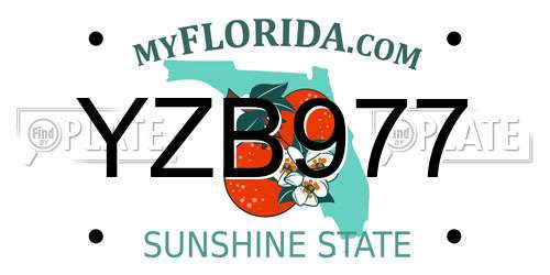 YZB977 Florida License Plate