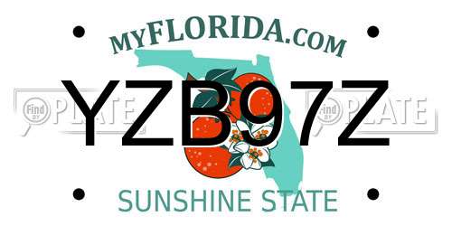 YZB97Z Florida License Plate