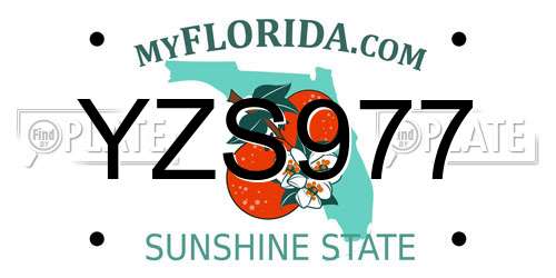 YZS977 Florida License Plate