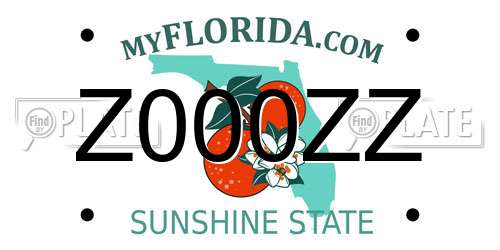 Z000ZZ Florida License Plate
