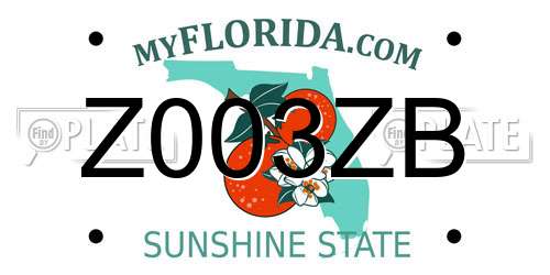 Z003ZB Florida License Plate