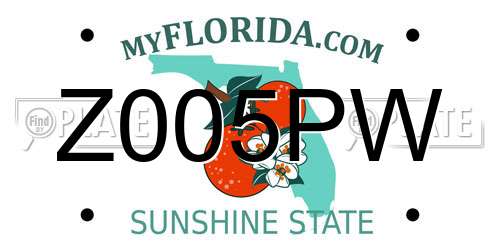 Z005PW Florida License Plate