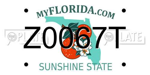 Z0067T Florida License Plate