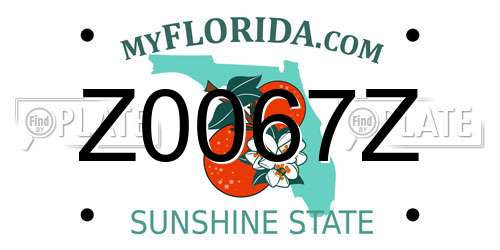 Z0067Z Florida License Plate