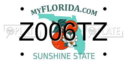 Z006TZ Florida License Plate