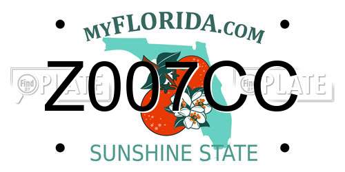 Z007CC Florida License Plate