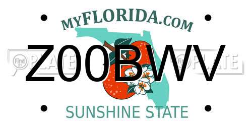 Z00BWV Florida License Plate