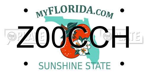 Z00CCH Florida License Plate