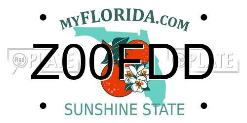 Z00FDD Florida License Plate