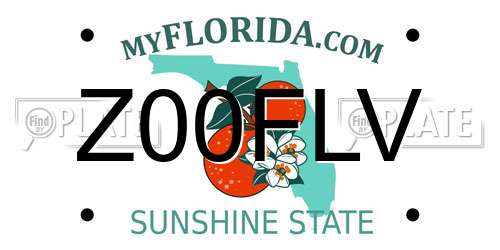 Z00FLV Florida License Plate