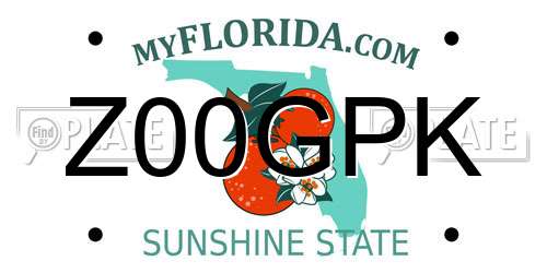 Z00GPK Florida License Plate
