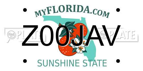 Z00JAV Florida License Plate