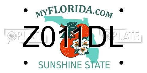 Z011DL Florida License Plate