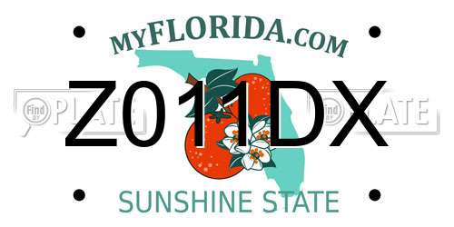 Z011DX Florida License Plate