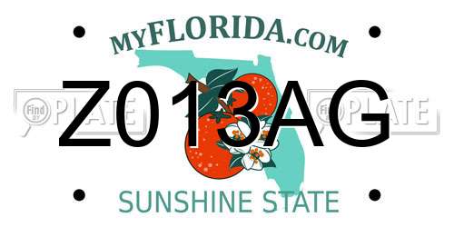 Z013AG Florida License Plate