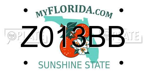 Z013BB Florida License Plate