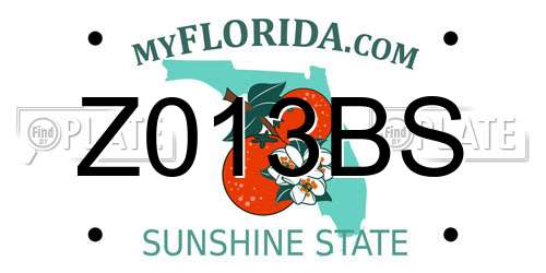 Z013BS Florida License Plate