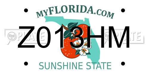 Z013HM Florida License Plate
